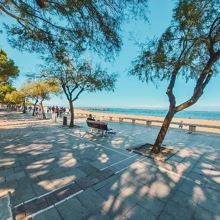 Maison Arcachon Avec Jardin