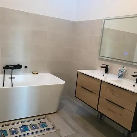 Maison Arcachon Avec Jardin