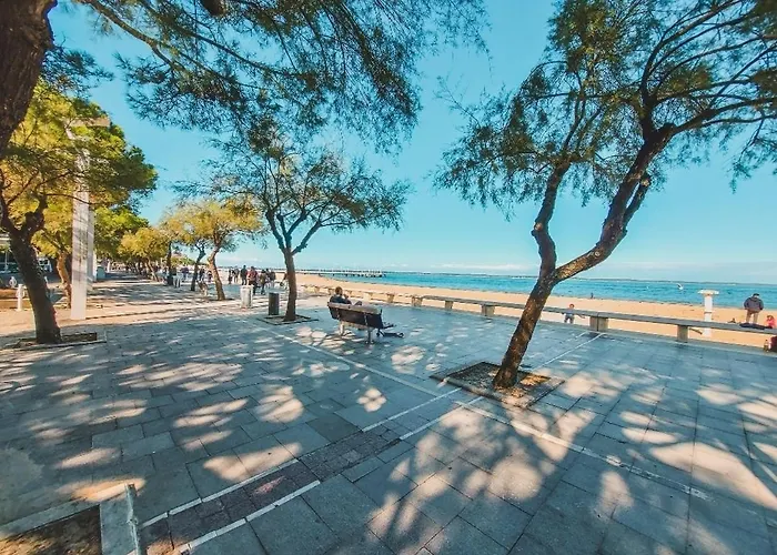 Maison Arcachon Avec Jardin