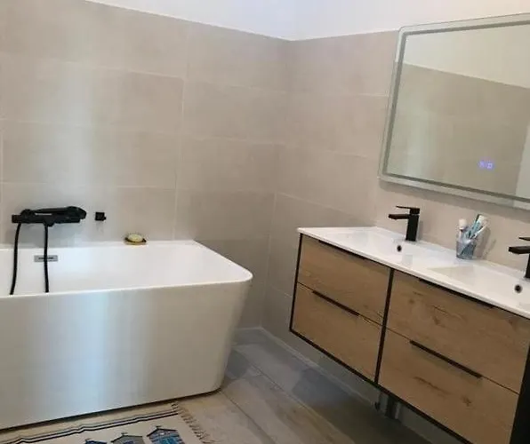 Maison Arcachon Avec Jardin