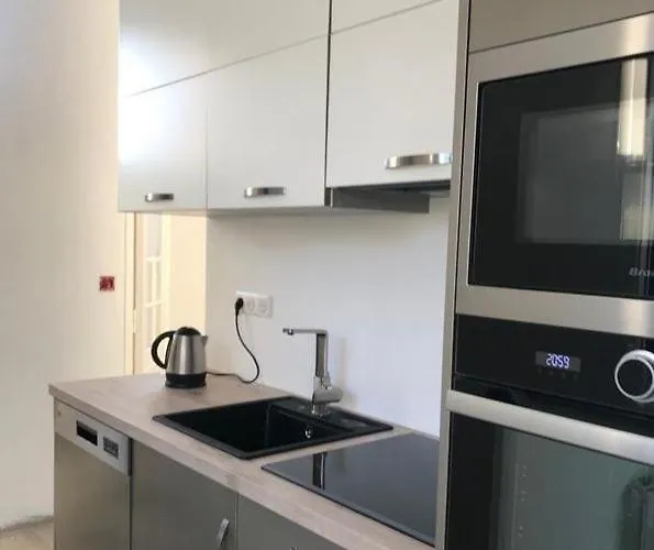 Maison Arcachon Avec Jardin *